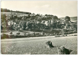 52 .n°39872 . St Loup Sur Aujon.eriseul.cpsm 15 X 10 Cm . - Andere & Zonder Classificatie