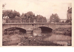 52 . N° 201301  .  FAYL BILLOT  .  PONT DU VEAU - Fayl-Billot