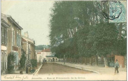 52.JOINVILLE.RUE ET PROMENADE DE LA GREVE - Joinville