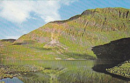 AK 213732 WALES - Cader Idris - Foxes Parh - Other & Unclassified