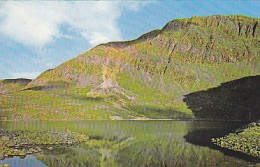 AK 213732 WALES - Cader Idris - Foxes Parh - Autres & Non Classés