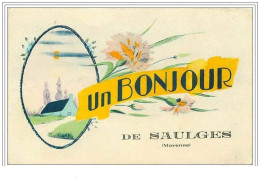53.SAULGES.UN BONJOUR DE SAULGES - Other & Unclassified