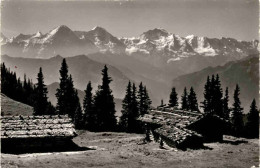 Im Ausflugsgebiet Der Seilbahn Beatenberg-Niederhorn (16015) * 30. 6. 1966 - Beatenberg