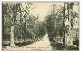 55.STENAY.AVENUE DES TILLEULS.ROUTE DE CERVISY - Stenay