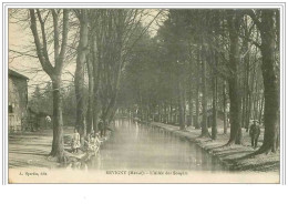 55.REVIGNY.L&acute ALLEE DES SOUPIRS - Revigny Sur Ornain