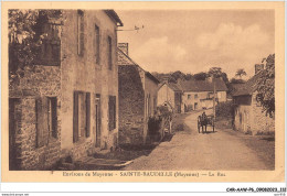 CAR-AAWP6-53-0464 - ENVIRONS DE MAYENNE - SAINTE-BAUDELLE - Le Roc - Mayenne