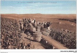 CAR-AAWP6-51-0415 - Environs D'EPERNAY - Les Vendanges En Champagne - Epernay