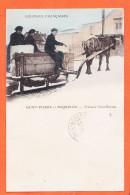 14916 /⭐ ♥️ SAINT-PIERRE-MIQUELON Colonies Françaises Traineau SAINT-PIERRAIS St Attelage Transport Glace 1900s - San Pedro Y Miquelón
