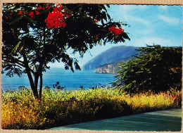 14908 /⭐ Guadeloupe Côte Sous Le Vent Leeward Coast 1970s ANTILLES TOURISTIQUES - Autres & Non Classés