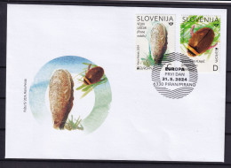 3333 B68 Slowenien Slovenia 2024 FDC EUROPA CEPT Underwater Fauna And Flora - 2024