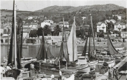 D 83. LE LAVANDOU..LE PORT - Le Lavandou