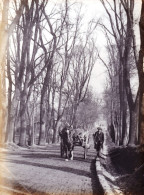 Photo Originale - Année 1895 - DIGNE Les BAINS ( Alpes De Haute Provence ) Attelage A L'entrée De La Ville - Places