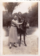 Photo Originale  - Septembre 1936 - SAINT VIATRE ( Loir Et Cher ) Balade A Dos D'ane - Places