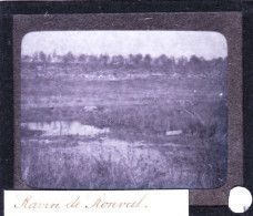 PLAQUE DE VERRE -  Photo  - 55 - Meuse - Ravin De RONVAL -  Année 1890 - Glass Slides