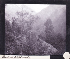 PLAQUE DE VERRE -  Photo - Les Alpes -route De La BERARDE ( Saint-Christophe-en-Oisans )  - Année  1890 - Plaques De Verre