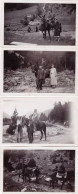 Photo Originale - 1931 - Lot 4 Photos - Route De GAVARNIE ( Hautes Pyrenees ) - Sur Le Chemin A Dos De Cheval - Lieux