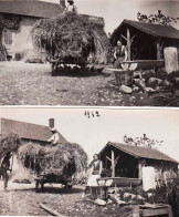 Photo Originale - 1932- Lot 2 Photos - AIGREFEUILLE ( Haute Garonne )  - Travaux Agricoles A La Ferme - Lieux