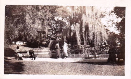 Photo Originale - 1932 - VICHY - Jardin Public - Lieux