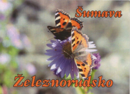 Butterfly, Czech Rep. 2019 - Tamaño Pequeño : 2001-...