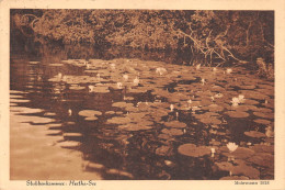 Rügen Stubbenkammer Hertha-See Gl1930 #169.641 - Altri & Non Classificati