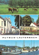 Putbus-Lauterbach Insel Rügen Tiergehege Theater Gl1974 #169.689 - Autres & Non Classés