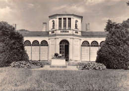 Putbus Auf Rügen Orangerie Gl1977 #169.702 - Sonstige & Ohne Zuordnung