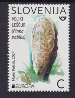 3333 Slowenien Slovenia 2024 MNH Underwater Fauna And Flora Noble Pen Shell - Vita Acquatica