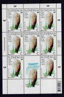 3333 Slowenien Slovenia 2024 MNH Full Sheet Underwater Fauna And Flora Noble Pen Shell - Maritiem Leven