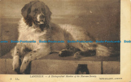 R641785 London. Tate Gallery. Landseer. A Distinguished Member Of The Humane Soc - Autres & Non Classés