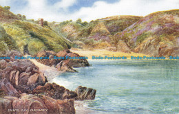 R641874 Guernsey. Saints Bay. Valentine. Art Colour. E. W. Trick - Monde