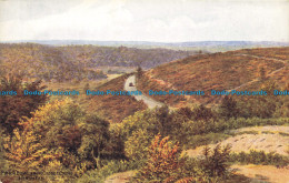 R641899 Hindhead. Punch Bowl From Gibbet Cross. J. Salmon. A. R. Quinton - Monde