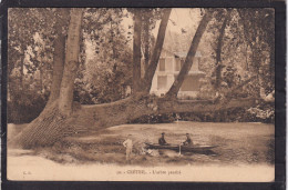 94. CRETEIL . L'Arbre Penché . Animée - Creteil