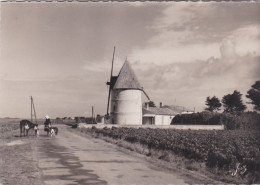 Ile D'Oléron --1952--Paysage Oléronnais (petite Animation , Moulin ) - Ile D'Oléron