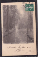 94. BOIS De VINCENNES . Etude De Paysage - Vincennes