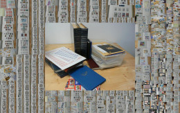 FRANCE - Collection Et Stock De Timbres Neufs Et Oblitérés + Très Nombreux Documents Variés - A Trier - 359 Photos - Verzamelingen (in Albums)