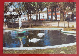 Carta Postale Non Circulée - CHILE - TALCA, PLAZA DE CURICO - Cile