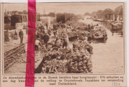 Veiling Te Grootebroek - Bloemkolen - Orig. Knipsel Coupure Tijdschrift Magazine - 1924 - Ohne Zuordnung
