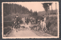 Belgique - SPA - Chasse à Courre - Chevaux - Chiens - Other & Unclassified