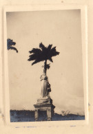 Photo Les Antilles Martinique Statue De Beauharnais à Fort De France - Amérique