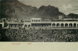 ADEN  Camel Market - Yémen