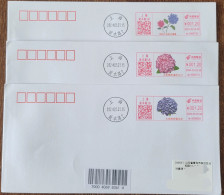 China Cover 2024 Eight Immortals Theme Exhibition (Shanghai) Colorful Postage Machine Stamp First Day Actual Shipping Se - Enveloppes