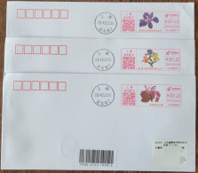 China Cover Shanghai Gongqing Forest Iris Culture Festival (Shanghai) Colorful Postage Machine Stamp First Day Actual Ma - Covers