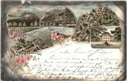 Gruss Aus Dem Schwarzathal - Litho - Saalfeld