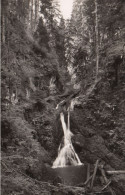 Allemagne Bonndorf Dans Le Sud De La Haute Forêt-Noire, à 850-950 M D'altitude. Dans Les Gorges Du Lothenbach - Andere & Zonder Classificatie