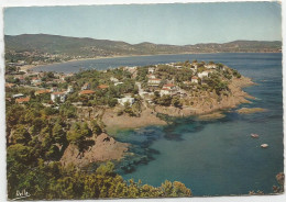 CPSM Cavalaire Sur Mer - Cavalaire-sur-Mer