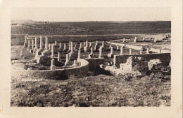 Photo Afrique Tunisie Carthage Légendée - Africa