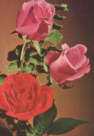 FLOWERS Vintage Ansichtskarte Postkarte CPSM #PAR967.A - Fleurs