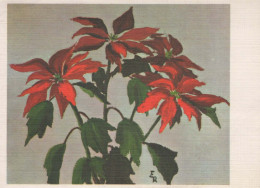 FLOWERS Vintage Postcard CPSM #PAR798.A - Fleurs