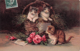 Carte Postale CHATS - Katzen