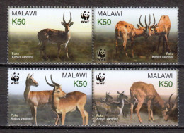 Malawi 2003 Mi 721-724 In Pairs MNH WWF PUKU - Nuovi